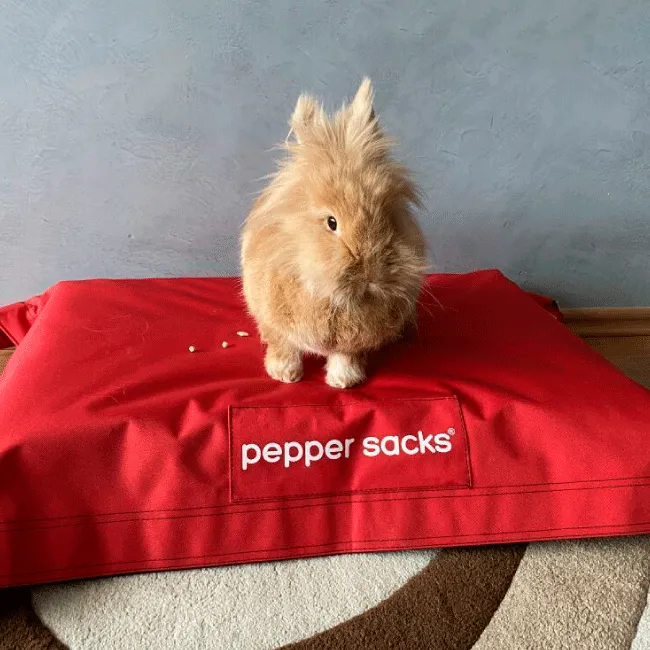 Camas para Perros Pequeos Pepper Sacks