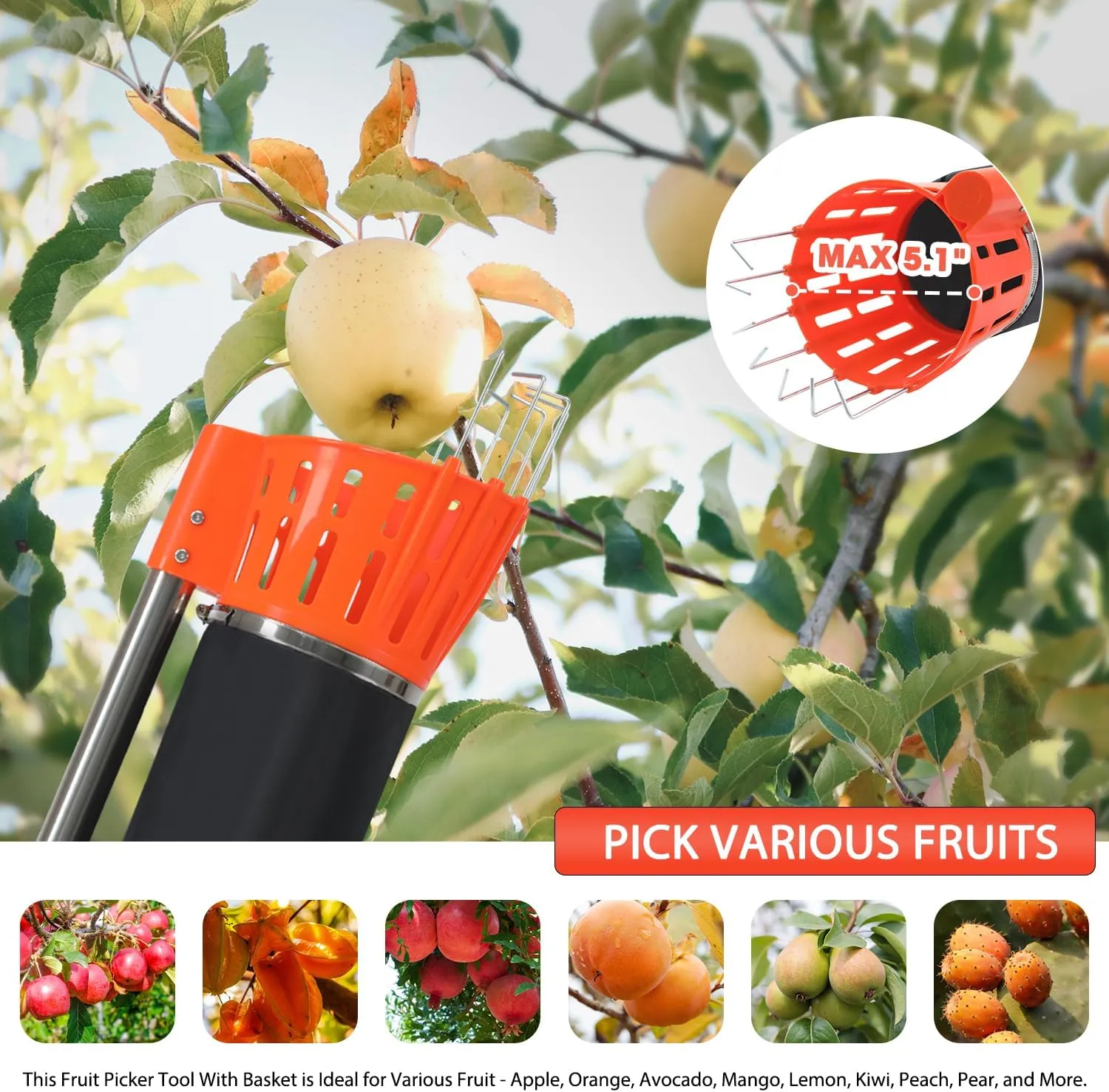 Fruit Picker Pole with Harvest Bag - Up to 13FT Adjustable