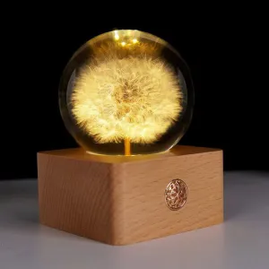 Natural Dandelion Flower Night Light Wood Base Preserved Flower Rechargeable LED Table Lamp Hot Gift