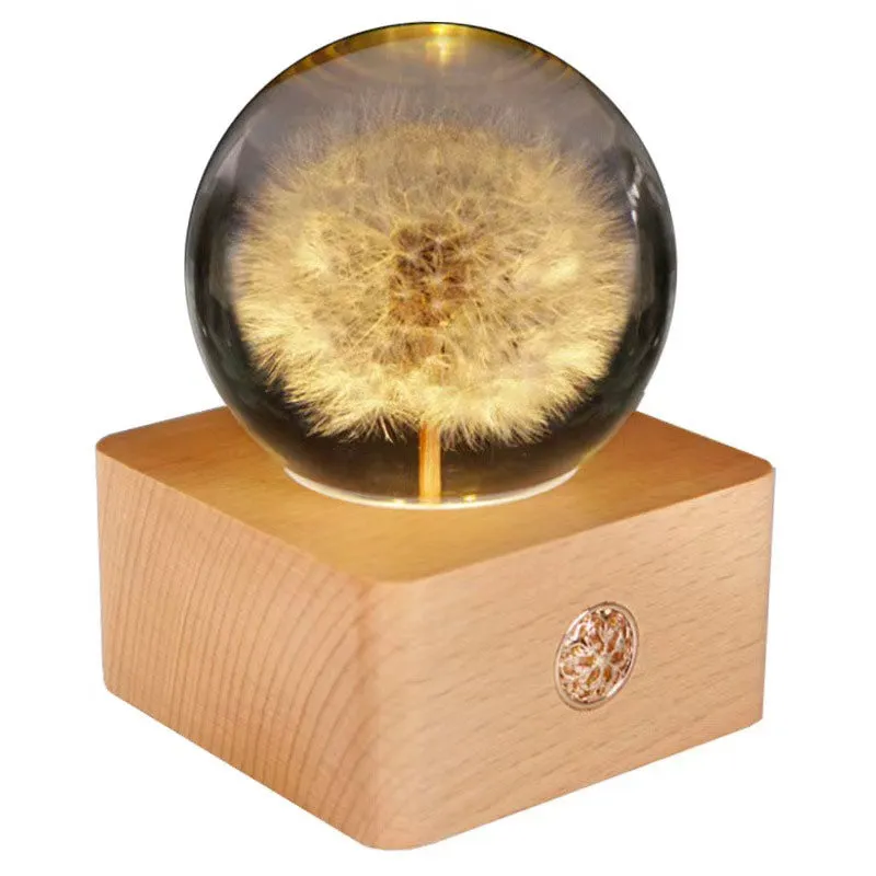 Natural Dandelion Flower Night Light Wood Base Preserved Flower Rechargeable LED Table Lamp Hot Gift