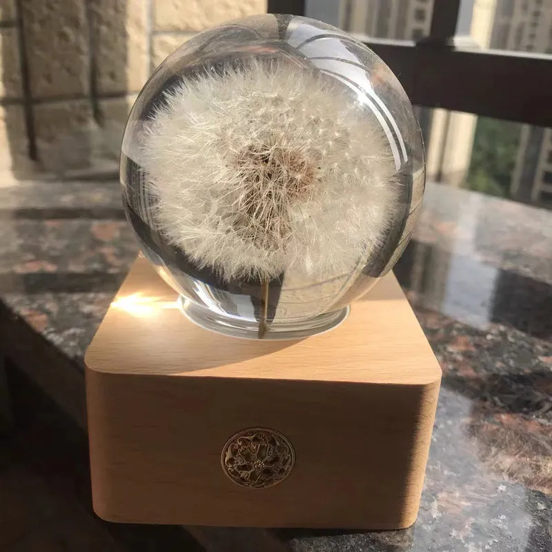 Natural Dandelion Flower Night Light Wood Base Preserved Flower Rechargeable LED Table Lamp Hot Gift