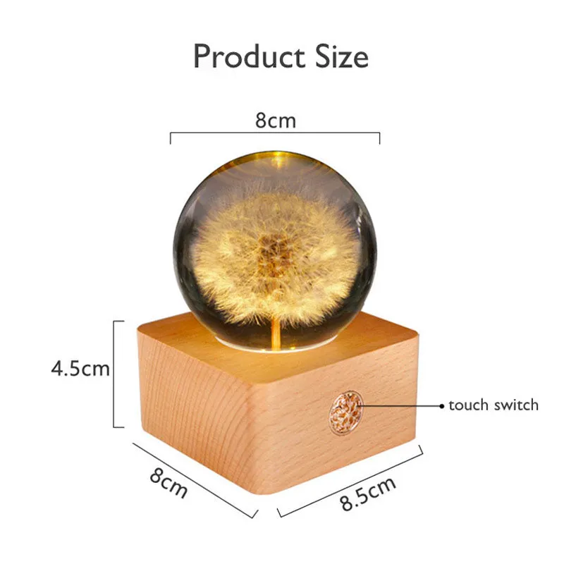 Natural Dandelion Flower Night Light Wood Base Preserved Flower Rechargeable LED Table Lamp Hot Gift