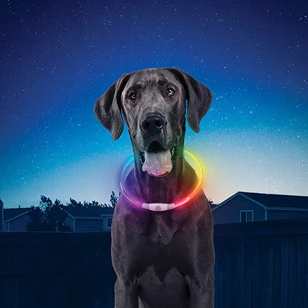 Nite Ize NiteHowl Rechargeable LED Dog Safety Necklace Disco Select