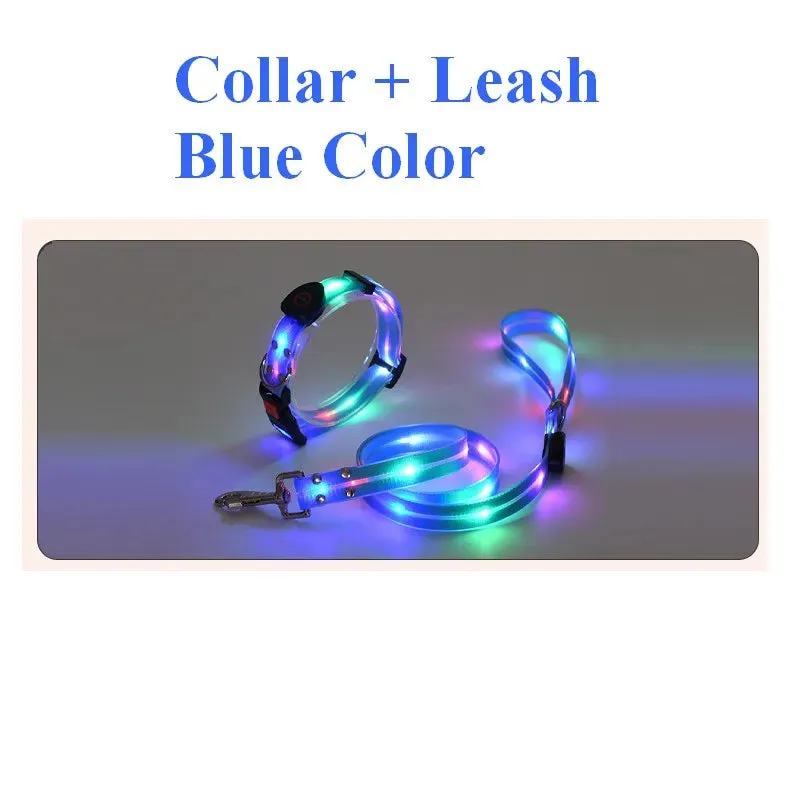 Pet Dog LED Light-Up Leash – USB Rechargeable, PVC & Webbing Glowing Leash for Night Walking