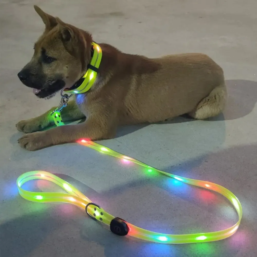 Pet Dog LED Light-Up Leash – USB Rechargeable, PVC & Webbing Glowing Leash for Night Walking