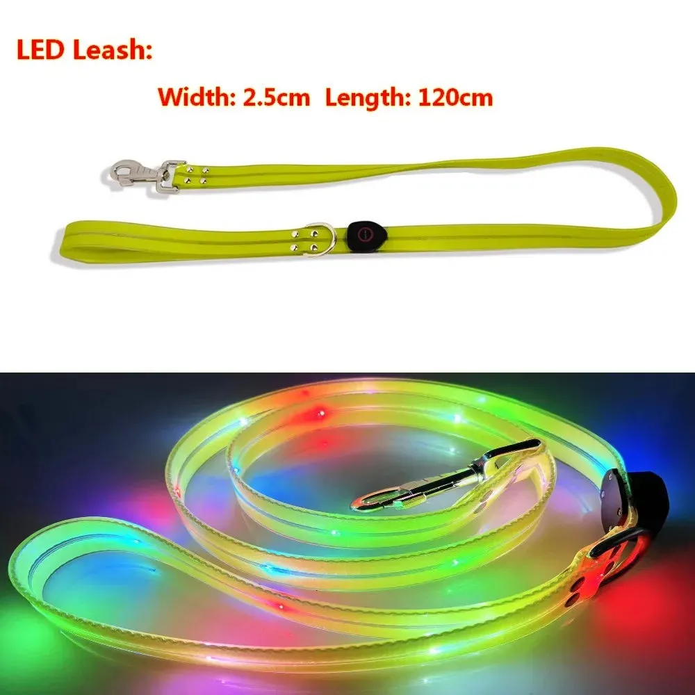 Pet Dog LED Light-Up Leash – USB Rechargeable, PVC & Webbing Glowing Leash for Night Walking