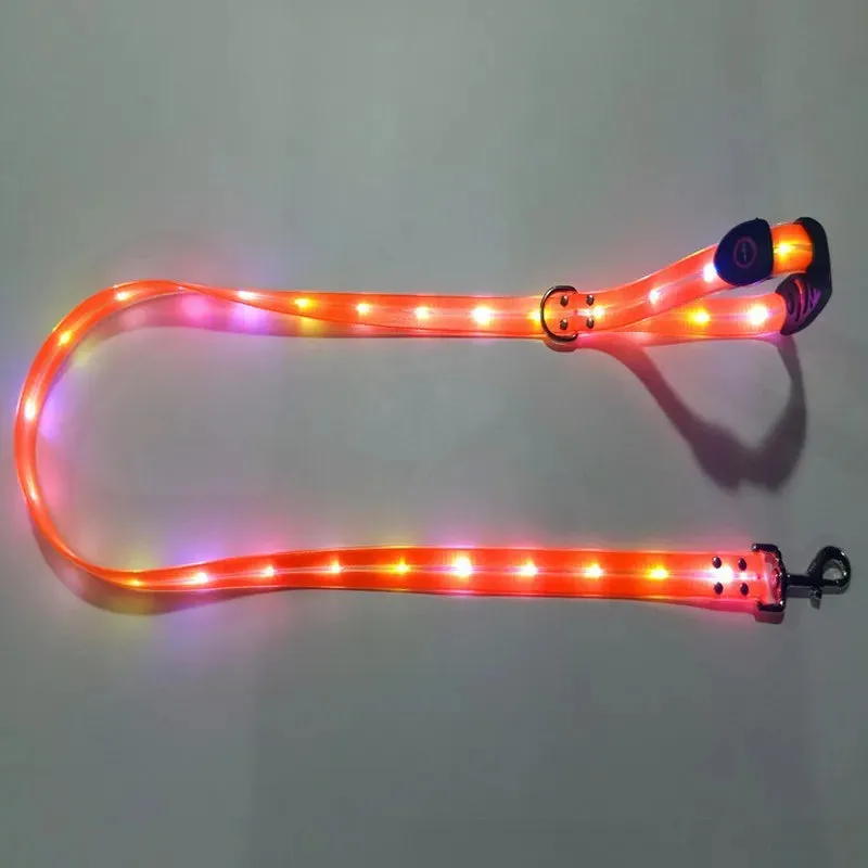 Pet Dog LED Light-Up Leash – USB Rechargeable, PVC & Webbing Glowing Leash for Night Walking