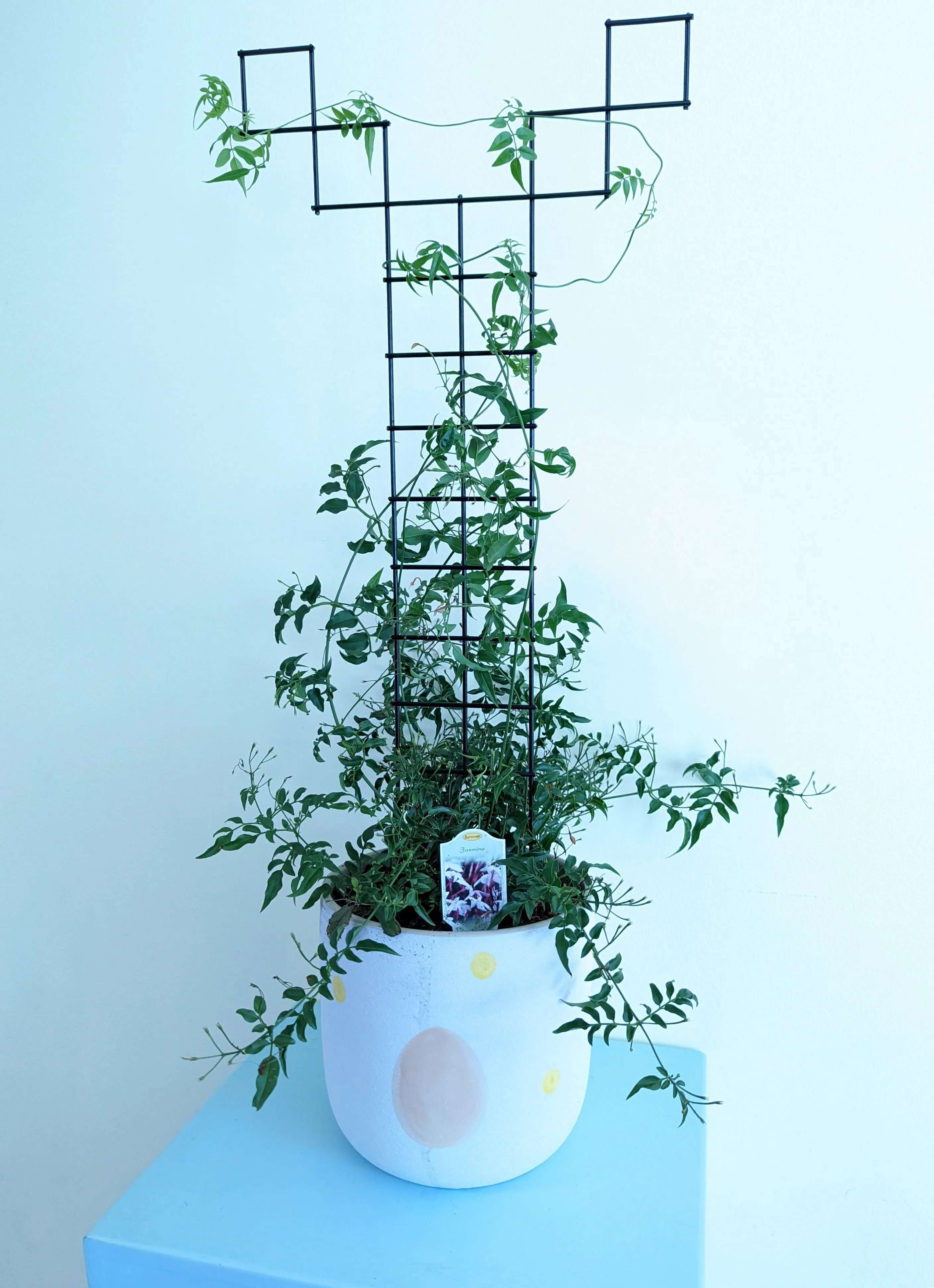 Plant Trellis - 24"