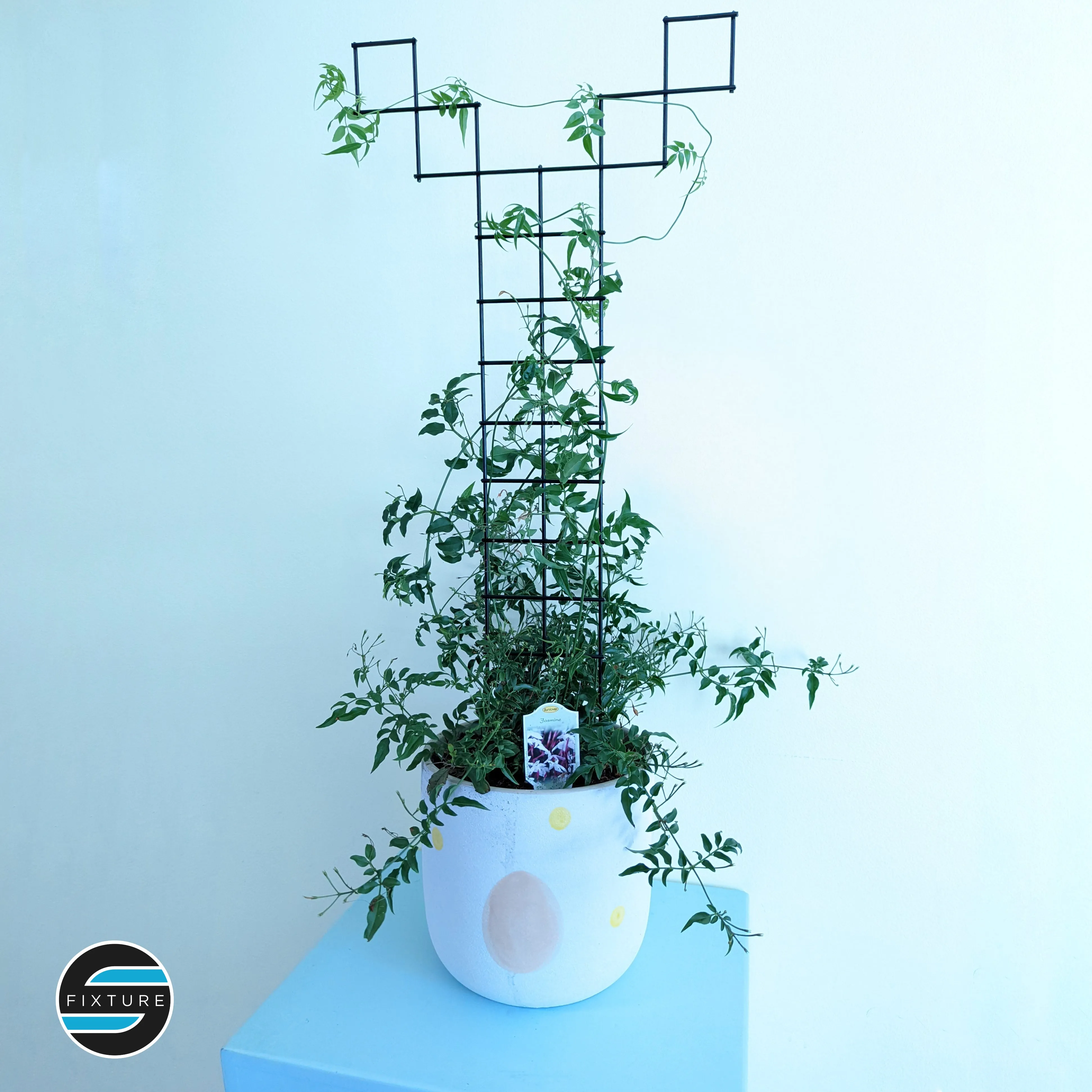 Plant Trellis - 24"